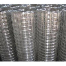 Galvanized welded wire mesh